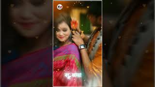 Chariya Jaiona Bandhu Maya Lagaiya status videowhatsapp statusBangla statusshorts [upl. by Levi]