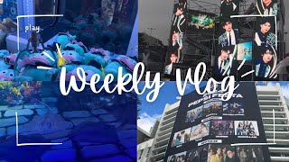 📹Vlog 4 Weekly Vlog🇰🇷｜很愛夾娃娃的👧🏻👩🏻👨🏻｜搶金道英演唱會搶到牛叫😥｜韓國有多容易偶遇藝人🫢｜去看ZB1演唱會和Pepsi拼盤🥹｜韓國水族館有什麼看🤩｜ [upl. by Latsyrhc]