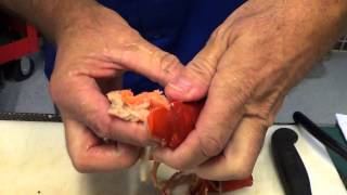 How to Prep and Cook Pre Cooked Lobster [upl. by Htebasil348]