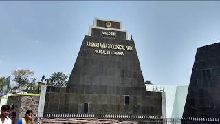 Vandalur Zoo Chennai  Watch LIVE on website Live Streaming available Arignar Anna Zoological Park [upl. by Idram800]