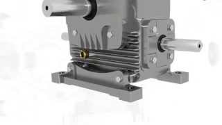 Worm Gearbox Worm Reduction Gear Box Worm Speed Reducer and Gear Motor Manufacturer [upl. by Nosreve]