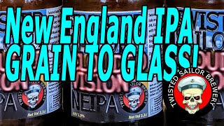 Sensational NEIPA Journey From Grain to Glass with BrewZilla and Robobrew Brewing Brilliance [upl. by Daisy]