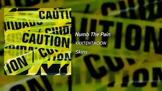 XXXTENTACION  Numb The Pain Official Audio Snippet quotSkinsquot [upl. by Haneen]