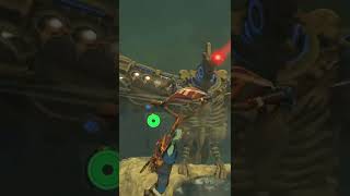 VAH MEDOH DIVINE BEAST FULL VIDEO IN DESCRIPTION The Legend of Zelda Breath of the Wild [upl. by Liatris]