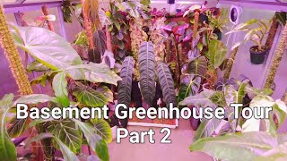 Basement Greenhouse Tour  Part 2 [upl. by Lenhard194]