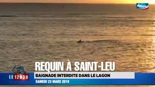 🇷🇪🦈SaintLeu  plages fermées suite à l’observation de requins  23032019 [upl. by Yrred696]