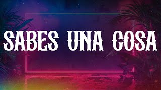 Luis Miguel  Sabes Una Cosa Letra  Lyrics [upl. by Penny]