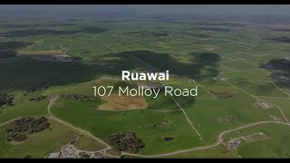 107 Molloy Road Ruawai [upl. by Reppiks956]