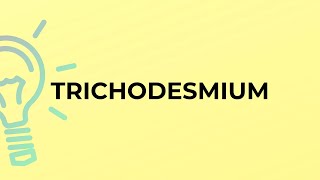 What is the meaning of the word TRICHODESMIUM [upl. by Amat449]