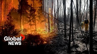 Future of wildfires What will happen to Canadas scorched forests as fires worsen [upl. by Zuckerman]