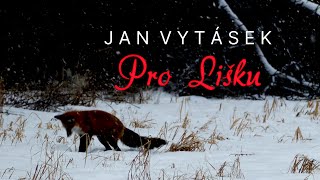 Pro Lišku  Jan Vytásek [upl. by Rambort]