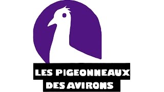 Les Pigeonneaux des Avirons [upl. by Bertrando]