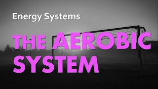 Aerobic System  Energy Systems 04  Anatomy amp Physiology [upl. by Ayanej]