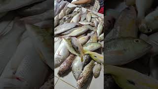 Pilar Sorsogon Public Market fishing fishmarket [upl. by Fahland]