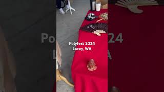 Polyfest 2024 Lacey WA [upl. by Nagle]