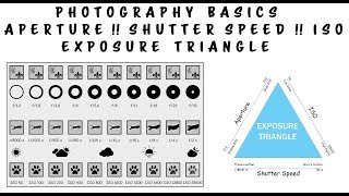 Photography Basics in Hindi within 12 Min  Aperture Shutterspeed ISO Depth of Field [upl. by Kalikow]