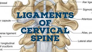 Ligaments of cervical spine [upl. by Nivrehs]