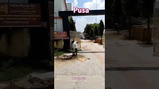 apna pusa  song love bollywood music hindisong bolywoodmusic newmusic nature [upl. by Macgregor]