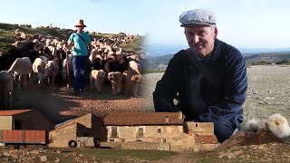 Oficios y trabajos tradicionales de una FAMILIA EN EL MONTE Los Mengod  Documental [upl. by Myriam901]