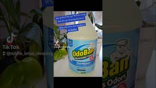 One of my favorite cleaning products Odor eliminator odoban cleaningproducts [upl. by Litsyrk]