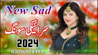 New Saraiki Song 2024  Saraiki All Singer Songs 2024 [upl. by Nnahgem]