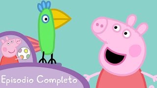 Consegne  Peppa Pig Italiano Episodi completi [upl. by Kcirredal]