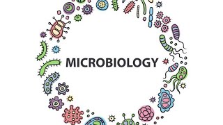 Ap msc molecular biologypreviousyearquestionpaper sem 3 msc 2024 microbiology biotechnology [upl. by Murat]