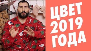 ЦВЕТ 2019 ГОДА  Живой коралл Living Coral [upl. by Nowahs]