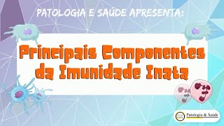 Sistema Imune  Principais Componentes da Imunidade Inata [upl. by Euqinimod367]