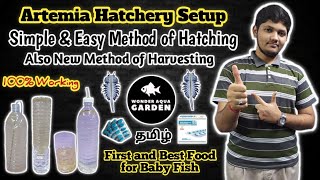 How to Hatch Brine Shrimp Eggs at Home  Artemia Hatchery Setup  தமிழ்  Wonder Aqua Garden [upl. by Aretha]