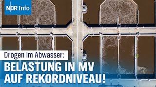 Speed Kokain und andere Drogen im Abwasser Konsum in MV erreicht BerlinerNiveau  NDR Info [upl. by Nahtanaoj388]