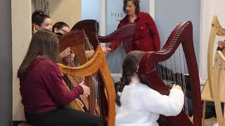 Cruit ÉireannHarp Irelands Hands On Harp with Laoise Kelly during Foxford Traditional Weekend 19 [upl. by Aritak549]