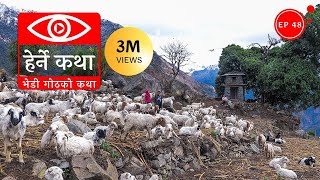 भेडी गोठको कथा  Bhedi Gothko Katha  Herne Katha EP48 [upl. by Eenattirb]