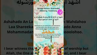 Second Kalima Shahadat with translation kalma quran shorts [upl. by Aynekat804]