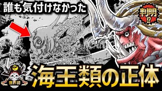 【衝撃】誰も気付けなかった「海王類」の正体【ONEPIECE考察】【ネタバレ】 [upl. by Longmire646]