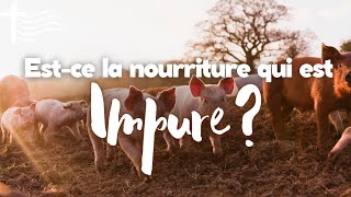 Parole et Évangile du jour  Mercredi 7 février • Questce qui est impur [upl. by Spencer827]