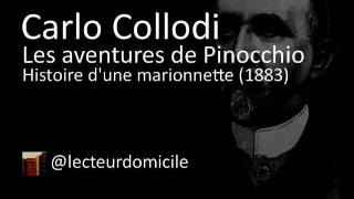 Les aventures de Pinocchio  Carlo Collodi  09 [upl. by Aihtenyc]