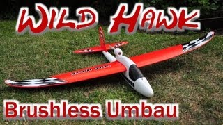 Reely Wild Hawk  Brushless Umbau  by MmhSchinken [upl. by Seni576]