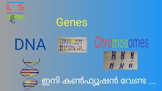 Genetics  Genes  DNA  Chromosomes  Malayalam [upl. by Ainivad538]