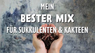 Das PERFEKTE Substrat für deine Sukkulenten amp Kakteen Kakteen und Sukkulentenerde selber mischen 🌵 [upl. by Winshell]