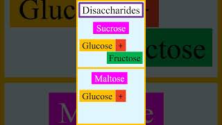 Monomer units of disaccharides sucrose lactose maltose and cellobiose chemistry [upl. by Oruntha]