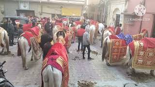 SAMUHIK VIVAH SAMMELAN  DEHRADUN [upl. by Edgardo367]