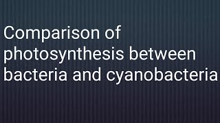 Comparison of phtosynthesis in bacteria and cyanobacteria  Amjad Siddique Biology [upl. by Wilkison]