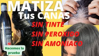 Matiza Tus Canas Sin Tinte y Sin Peróxido loponemosaprueba [upl. by Jeuz]