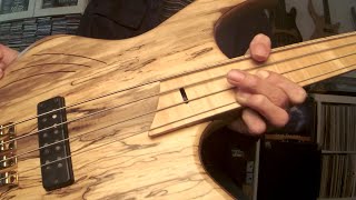 The Freedom of Fretless Bass 2 [upl. by Gipsy]