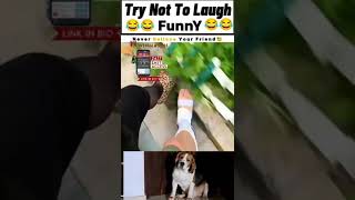 Breezer video viral sorts pyaar happy 👶 💕 [upl. by Heddie]