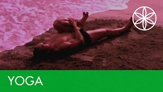 Yoga for Energy with Rodney Yee  Yoga  Gaiam [upl. by Diandra]