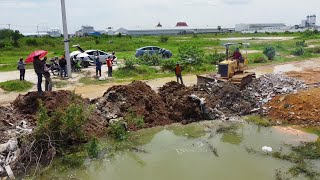 Update New Project  Mini Dozers Pushing Land The Dirt By Damptruck 5T Prosscing Filling Up lake [upl. by Ellemaj755]