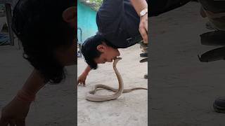 virals यूट्यूब पर पहली बार ऐसा वीडियो 🙏please subscribe 🙏snakes shortfeed ytshorts [upl. by Flowers]