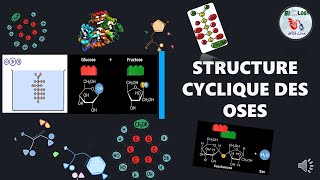 📌Glucides La Structure cyclique des oses  Structure de HAWORTH [upl. by Collyer715]